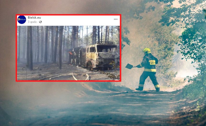 Białowieża pożar las wóz