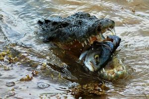 tragedia na drodze