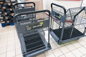 Wózki dla psów w Auchan
