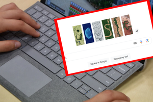 Google Doodle na Dzień Ziemi 2024. Co widać na grafice?