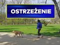 Spacer z psem w parku