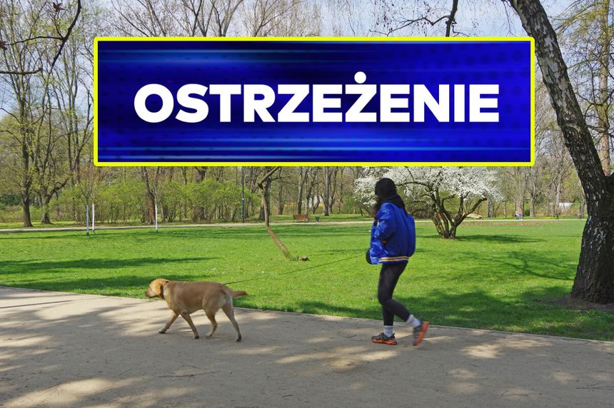 Spacer z psem w parku