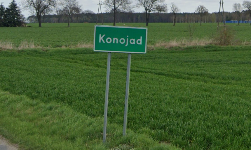 Konojad