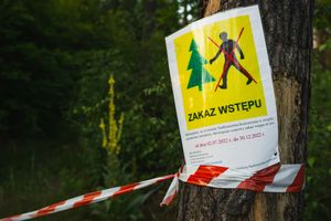 Zakaz wstępu do lasu