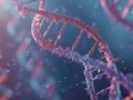 DNA