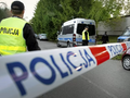 Policja