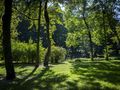 Park w Poznaniu