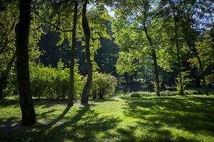 Park w Poznaniu