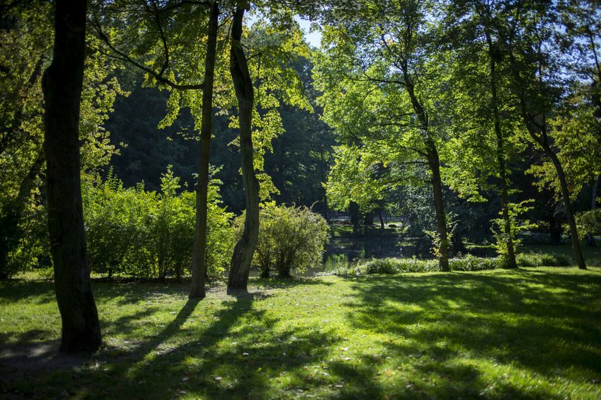 Park w Poznaniu