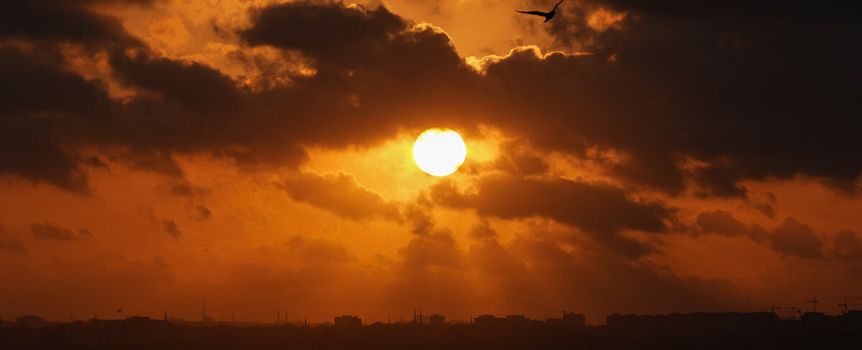 maj rekord temperatury