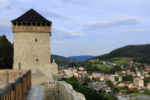 Zamek w Muszynie