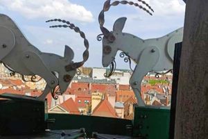 Koziołki w Poznaniu