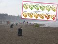 Plaża