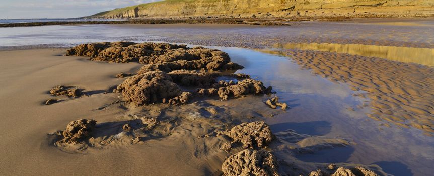 Na plaży w zatoce Dunraven znajdywane są ludzkie kości