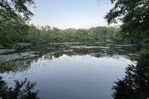 Poznańskie Szachty