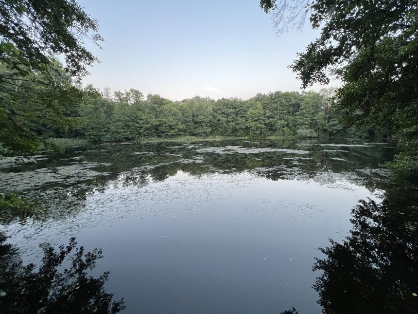 Poznańskie Szachty