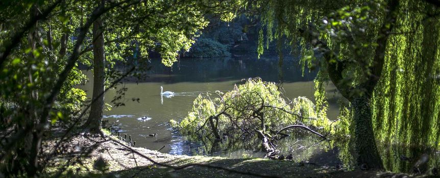 Park w Poznaniu