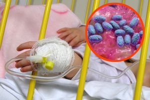 Dziecko i bakteria Bordatella pretussis