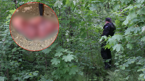 Organ znaleziony we Wrocławiu