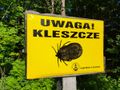 Tablica informacyjna - uwaga kleszcze