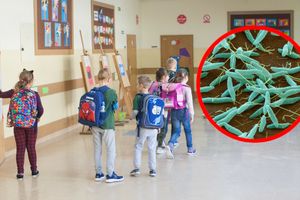 Dzieci i wirus campylobacter