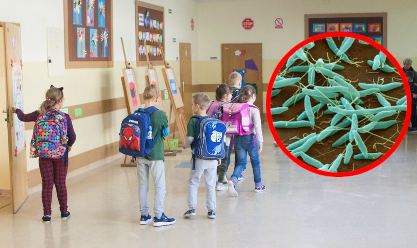 Dzieci i wirus campylobacter
