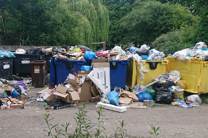Śmieci na wrocławskim osiedlu