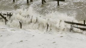 Norfolk