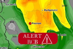 Prognoza burzowa