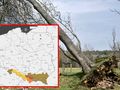 IMGW podnosi stopień ostrzeżenia