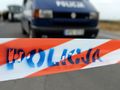 policja