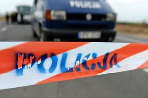 policja