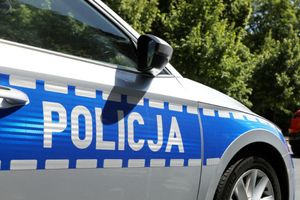 policja