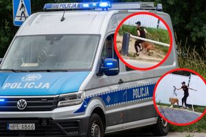 Policja pies