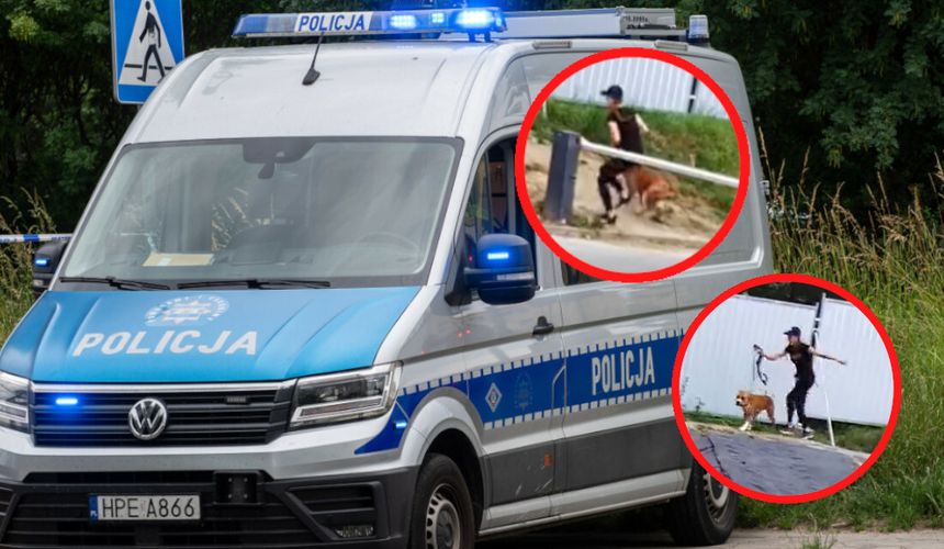 Policja pies