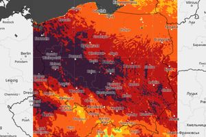 mapa zagrożenia pożarowego lasów