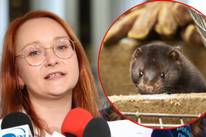 Małgorzata Tracz na konferencji w Sejmie