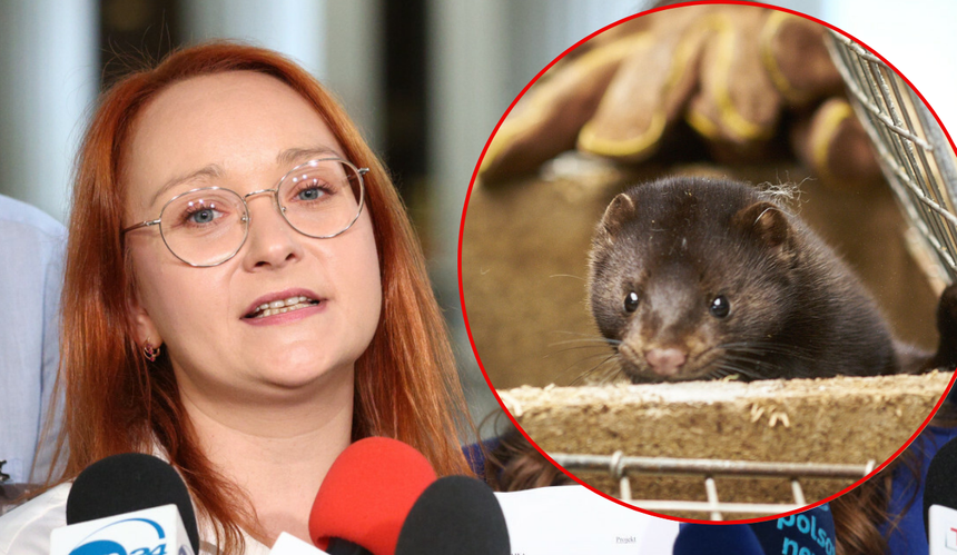 Małgorzata Tracz na konferencji w Sejmie