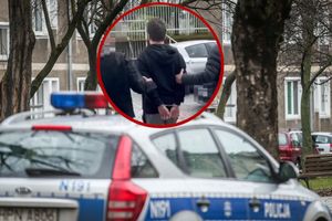 policja