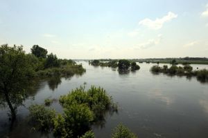 Rzeka Warta