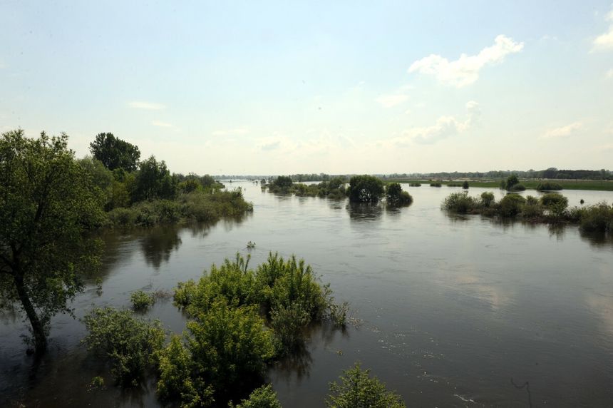 Rzeka Warta