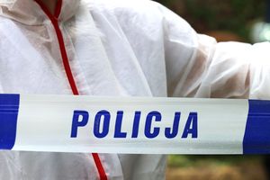Policja