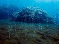 Kominy hydrotermalne na dnie oceanu