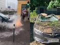 Skutki nawałnicy w Gdyni