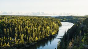 rzeka