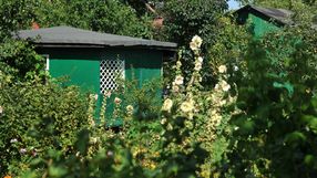 Ogródki działkowe - zdj. ilustracyjne