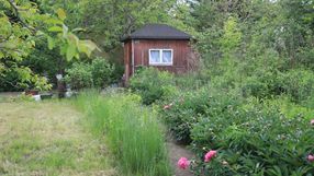 Ogródki działkowe - zdj. ilustracyjne