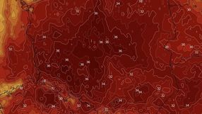 fatalna prognoza