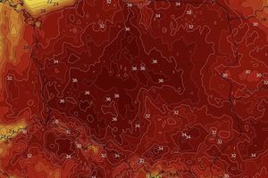 fatalna prognoza