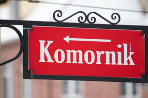 Czego nie może zabrać komornik?